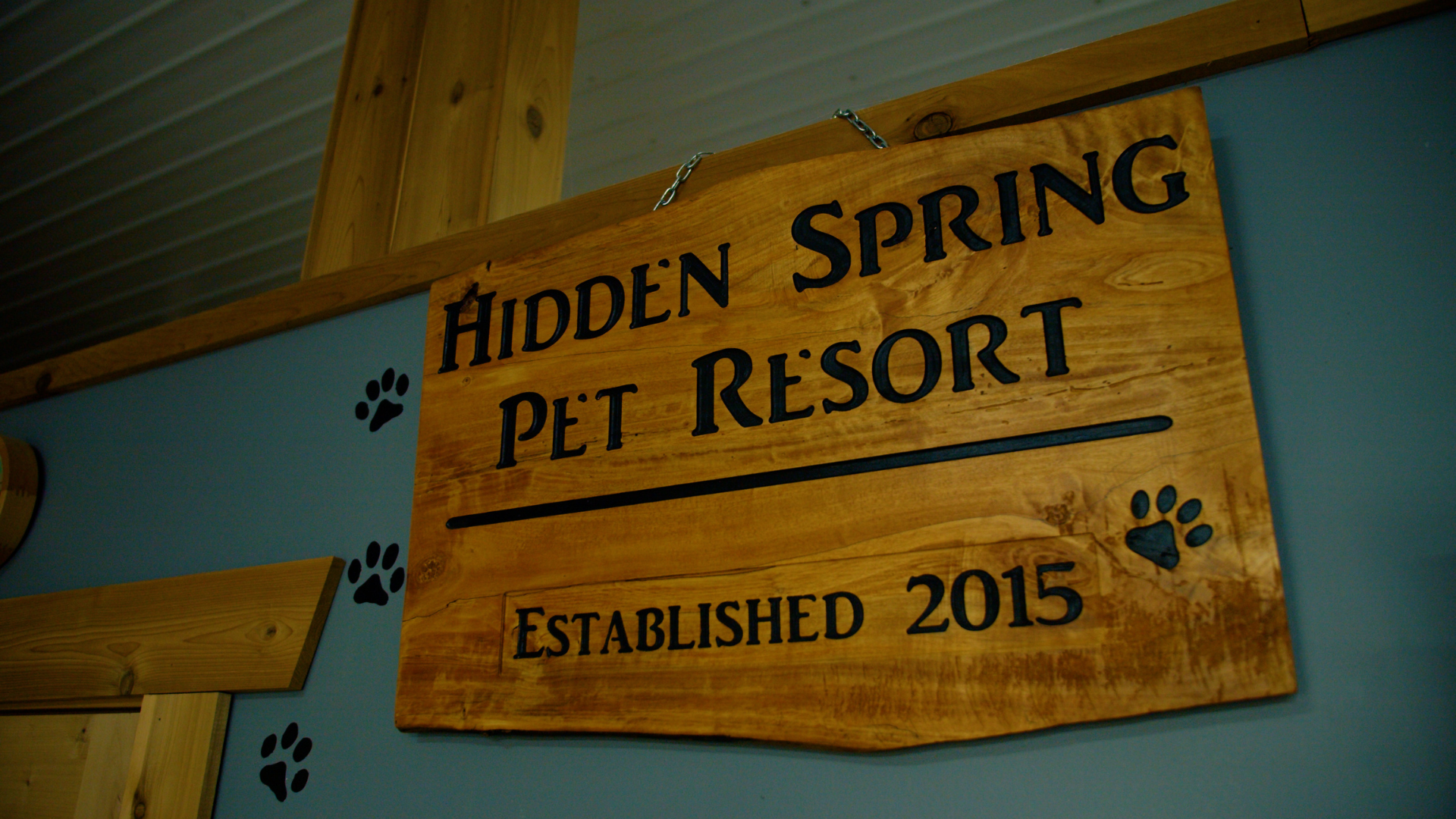 Book Your Dog's Staycation at Hidden Spring Pet Resort in Barnwell, Alberta!