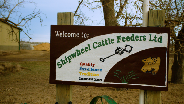 Welcome to the Green Mercantile at Shipwheel Cattle Feeders in Taber, Alberta!